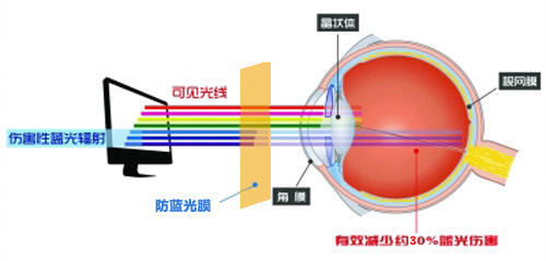 麻豆AV免费观看最新科技成果 麻豆精品在线播放成护眼利器